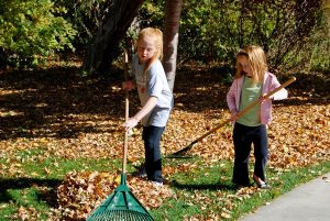 girls-raking